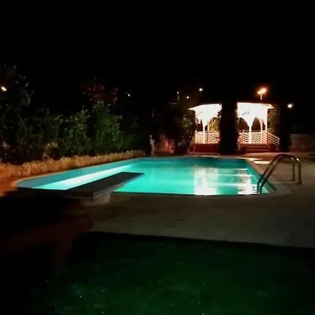 Apollon فيلة *